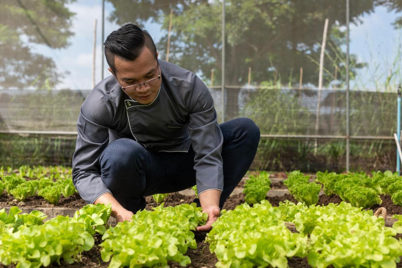 Moevenpick Resort Khao Yai Banvangszaj Kültér fotó